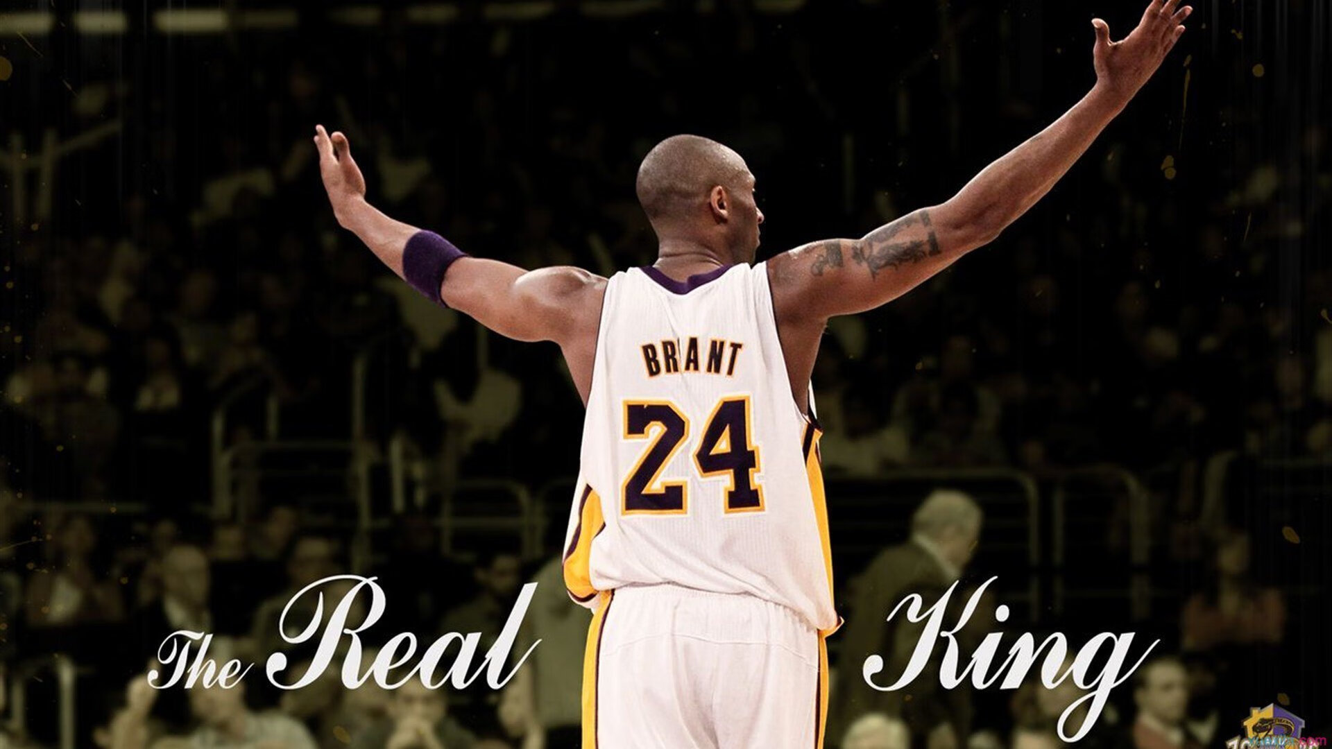 今年联盟最受关注的明星控卫是谁？，nba联盟最强控卫